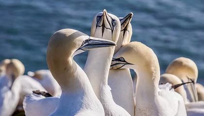 【ETF动向】10月22日国泰中证煤炭ETF基金跌1.83%，份额减少1.63亿份