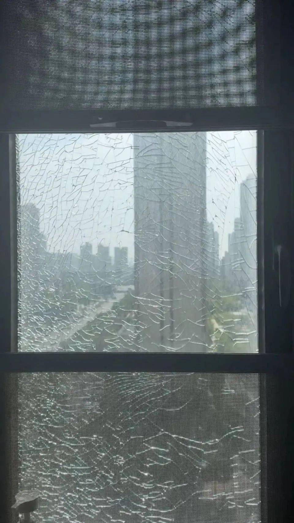 44.2℃，真的热“炸”了：河南居民家玻璃裂成“蜘蛛网”，五只大鹅热死在水塘！这波极端炎热天气，啥时能结束